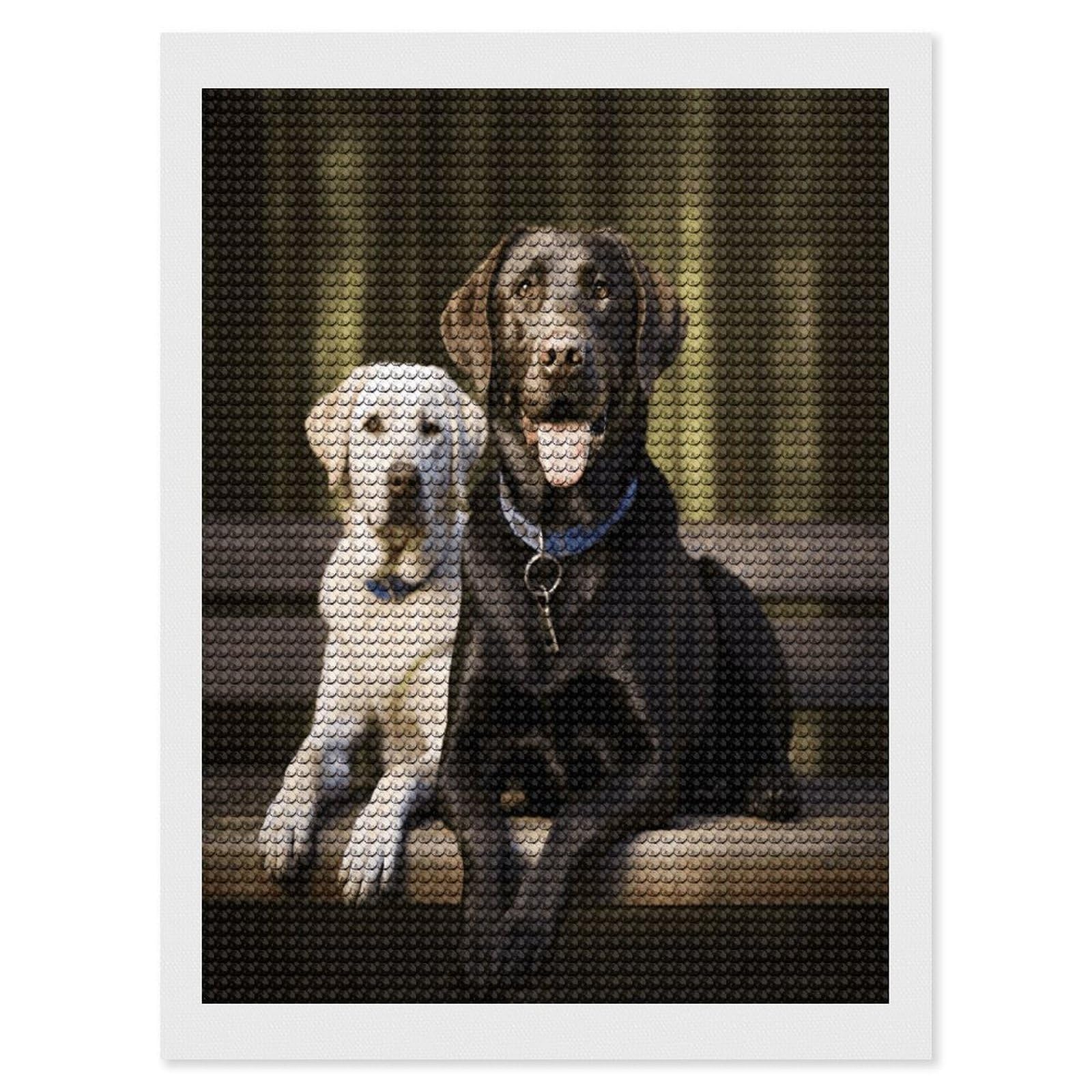 VstaDank Labrador Diamond Painting Kits Exquisite DIY Full Round Drill Diamond Dots Painting for Adults Beginner Diamond Photo Paint with Diamond Picture Art Wall Decor 12"x16"