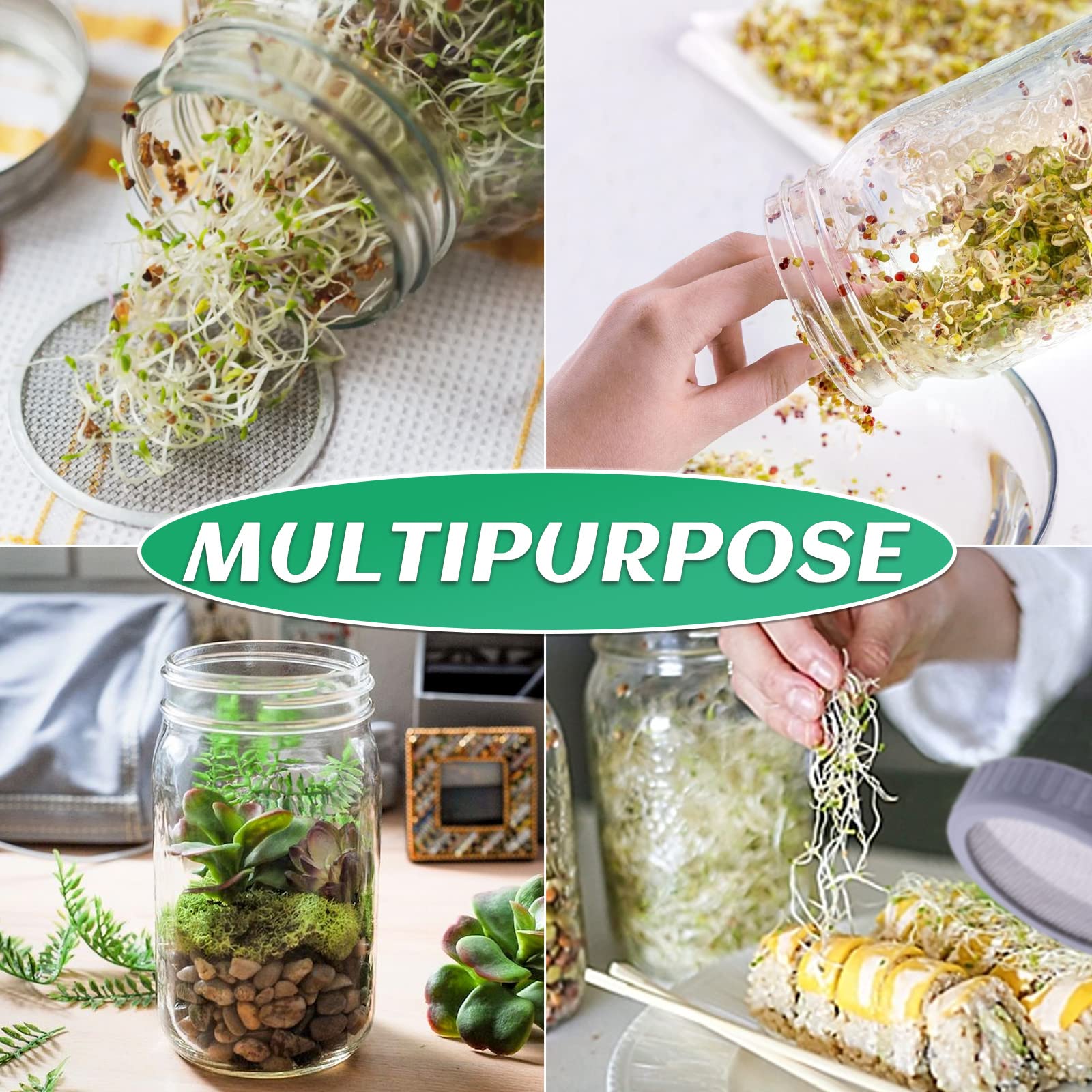 Seed Sprouting Jar Kit with 2 Wide Mouth Mason Jars Bean Sprouts Growing Kit Microgreens Growing Jar with Mesh Screen Lids Sprouter Sprouts Maker for Growing Broccoli, Alfalfa, Mung Bean