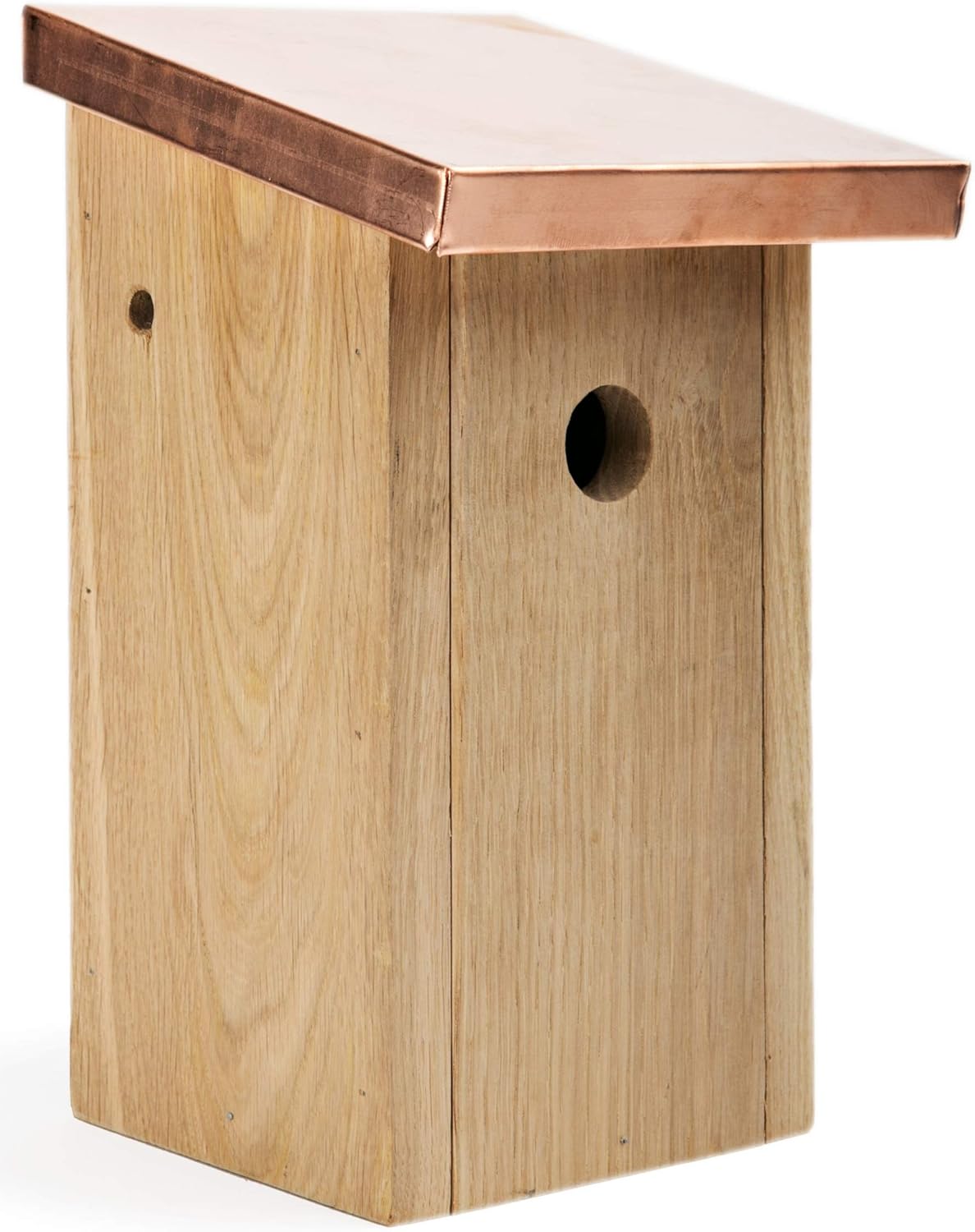 skateboard per casette per uccelli