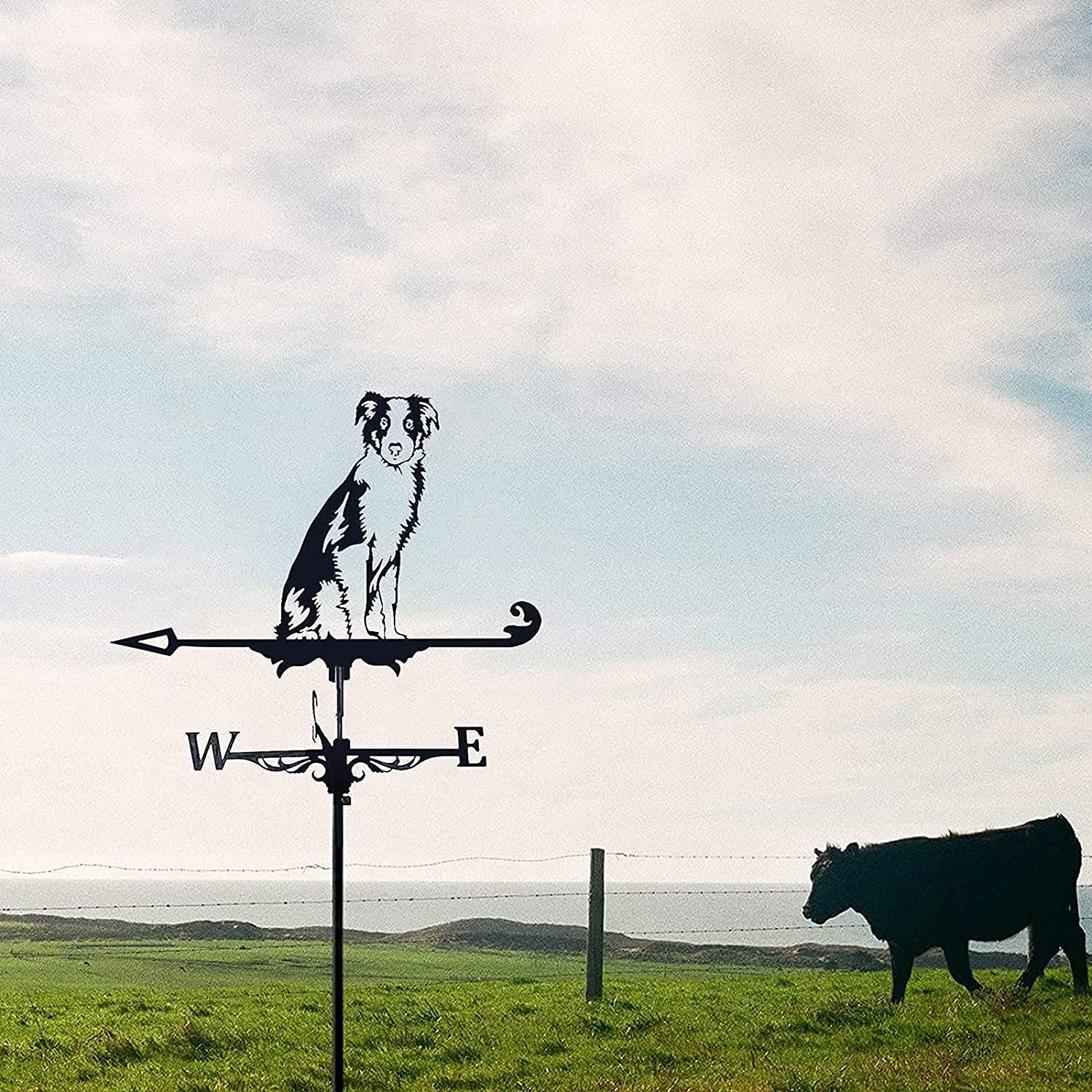 Girouette En Fer Noir Pour Toit Ou Jardin - Décoration Animale Résistante Aux Intempéries