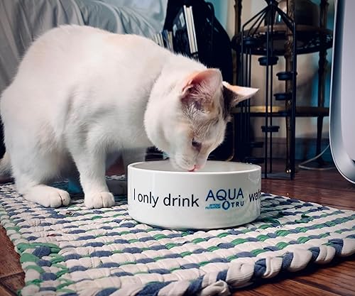 Miniatura 8 de AquaTru Carafe - Purificador de agua inteligente para encimera  Sistema de ósmosis inversa de 4 etapas conectado a la aplicación con jarra de vidrio