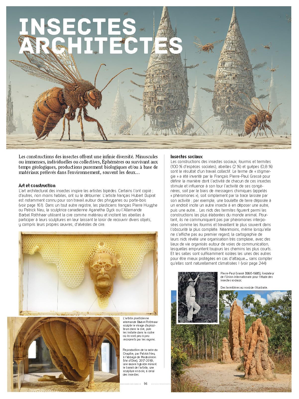 Insectes: Tous les savoirs, toutes les histoires, tous les pouvoirs, tous les espoirs…