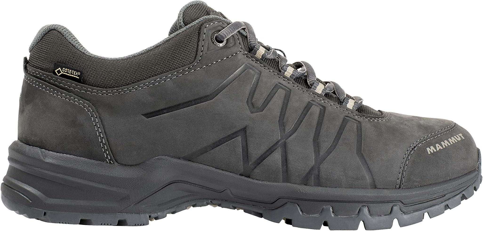 Mammut Men Mercury III Low GTX® Hiking & Trekking Shoe