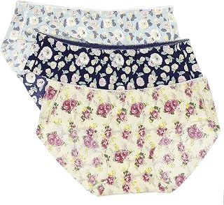 GRANTH ENTERPRISE Women's Printed Multicolor Seamless Hipster Ice Silk Panty