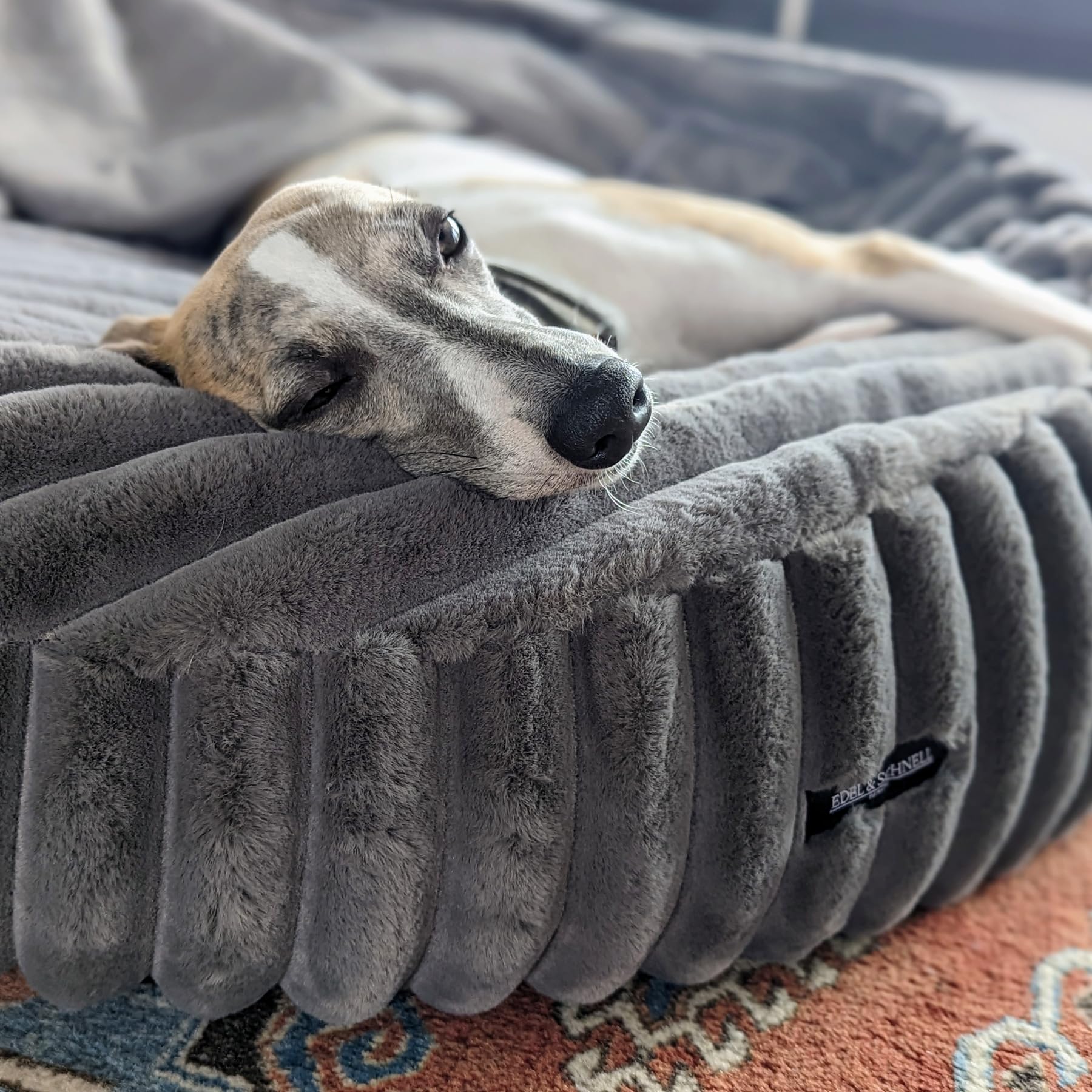 EDEL&SCHNELL Hundebett Bezug 125 cm dunkelgrau | Ersatzbezug aus Nerz-Kunstfell mit Deckel | passend für Hundebett Flocke, Cosybed & Hyggebed