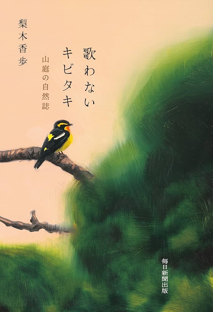 81baTcfCOTL._AC_UF1000,