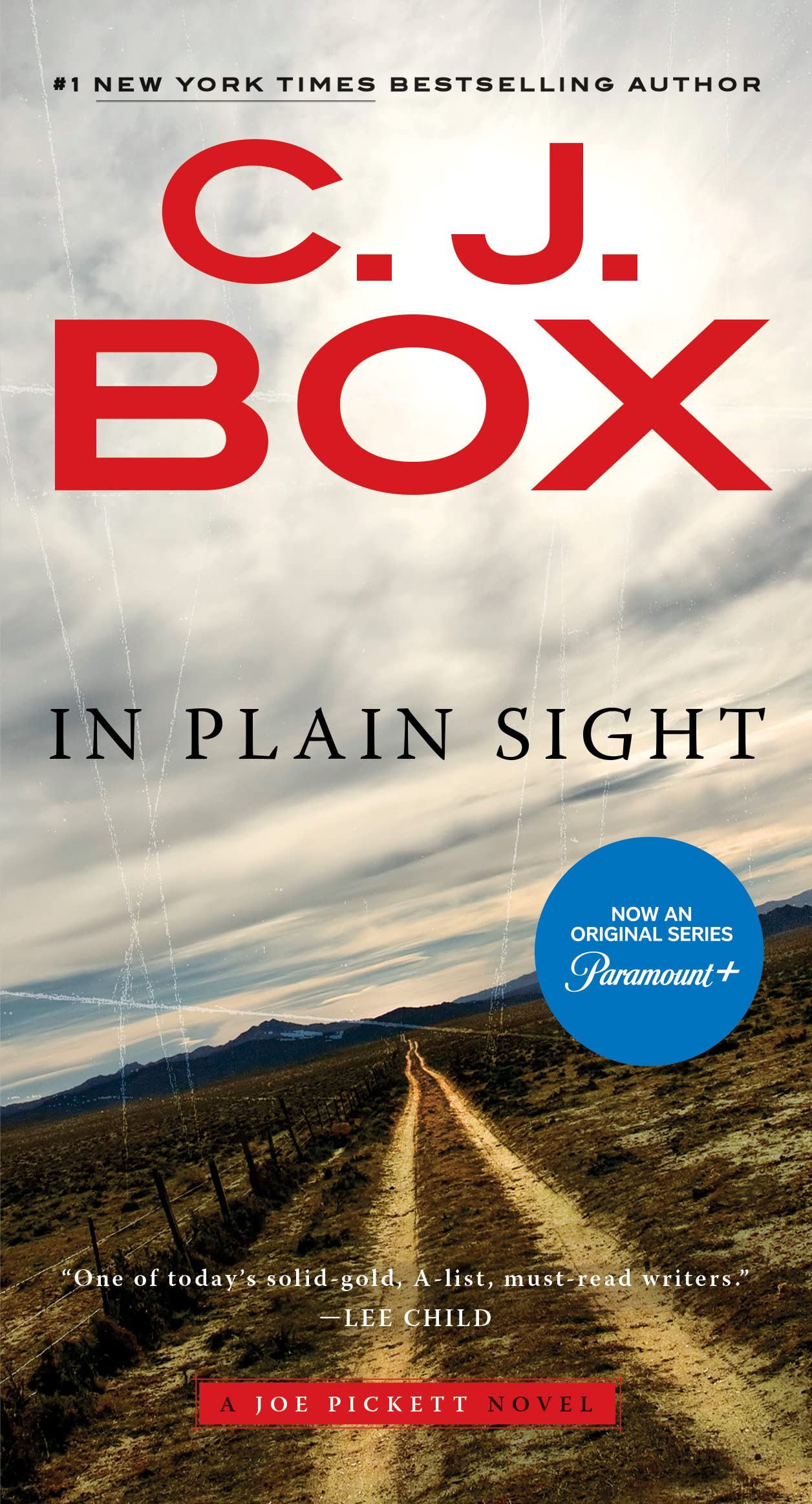 In Plain Sight (A Joe Pickett Novel Book 6)