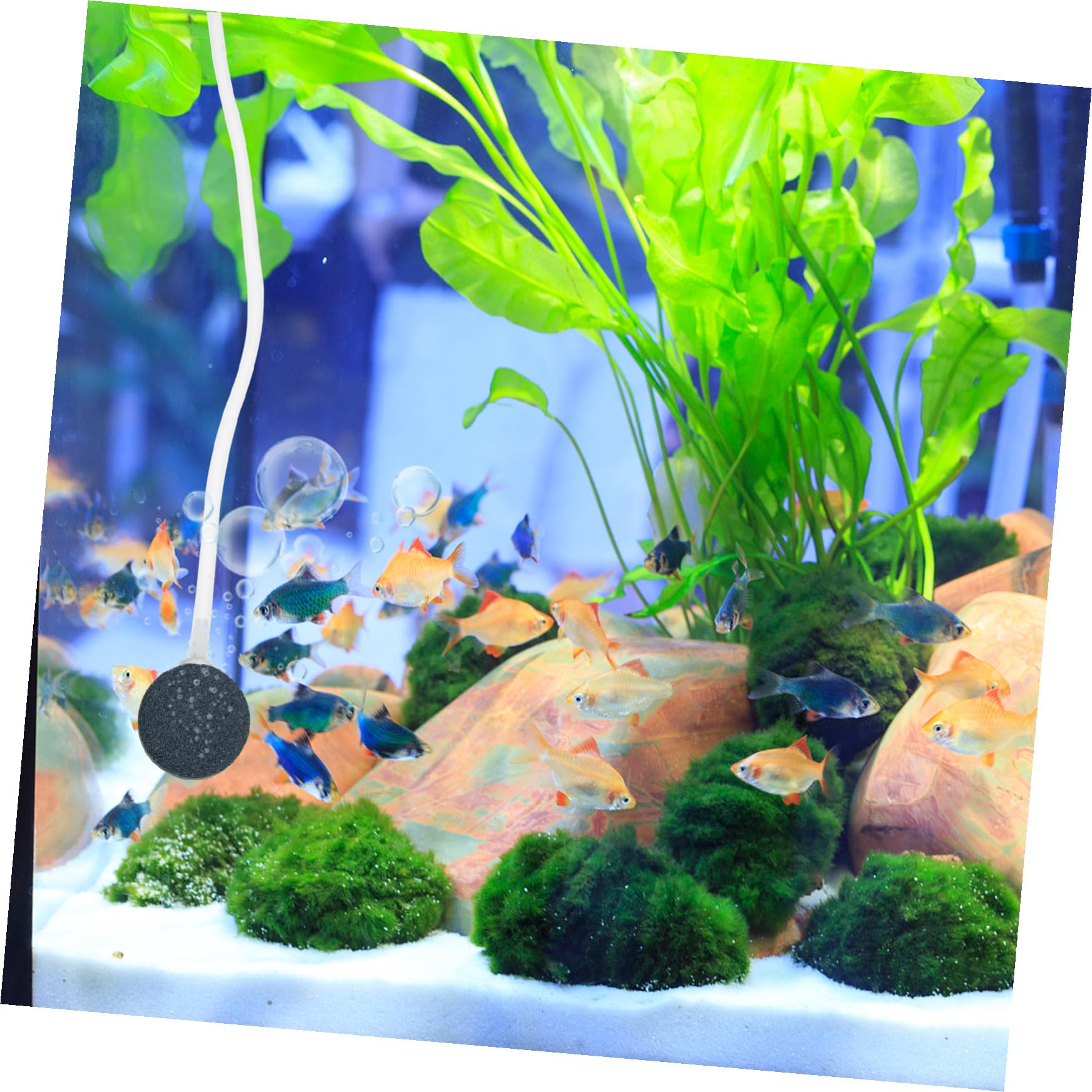 YARNOW Pompe à Oxygène Solaire Flottante Aérateur Oxygène Pour Piscine Et Aquarium Pompe à Air Solaire Pour Plantes Hydroponiques