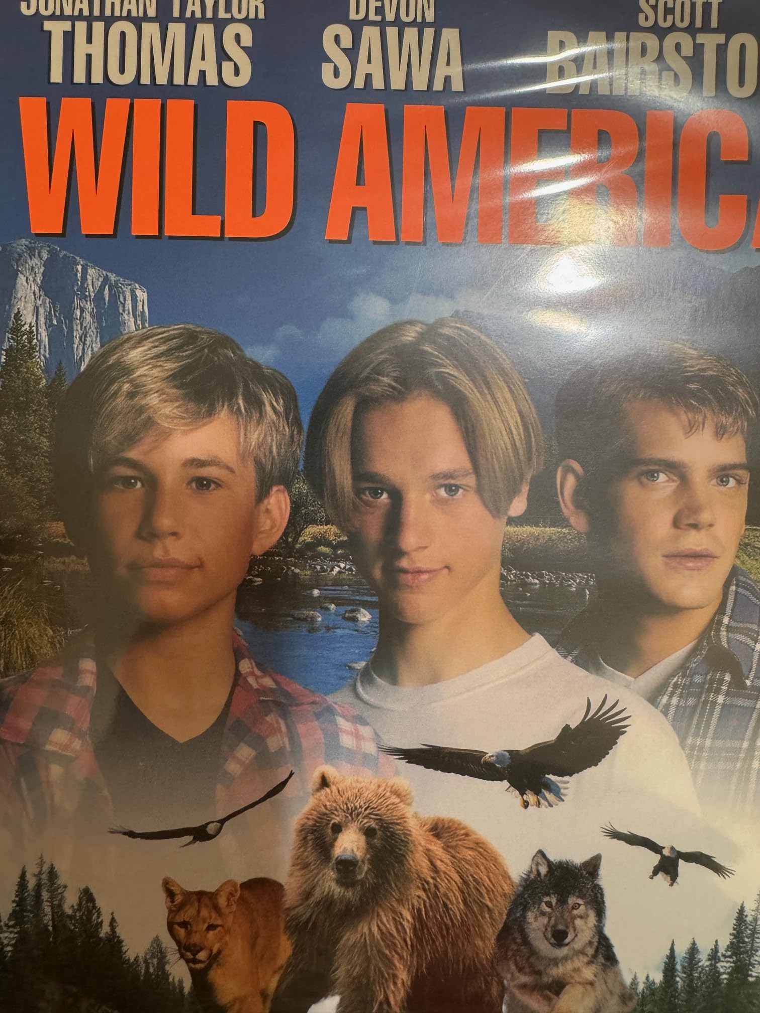 その他 Wild South America [DVD] Wild South America [DVD](中古品) (shin