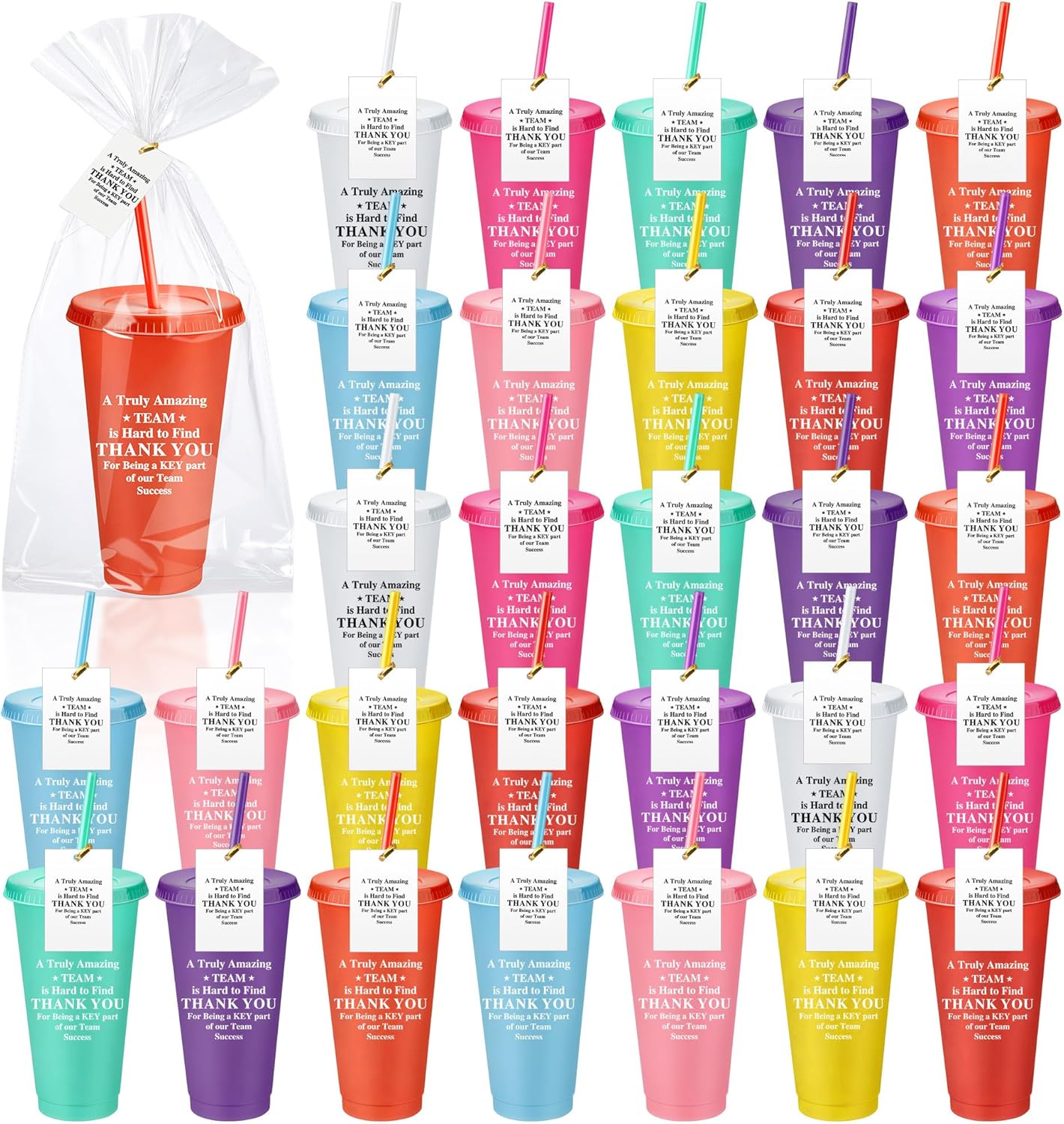 Skylety 30 Pcs Valentine Galentine Employee Appreciation Gift Bulk 24 oz Plastic Tumbler Cup with Lids Straws Thank You Cup Bulk for Coworker Team Teacher Nurse Volunteer(Grateful,Assorted Colors)