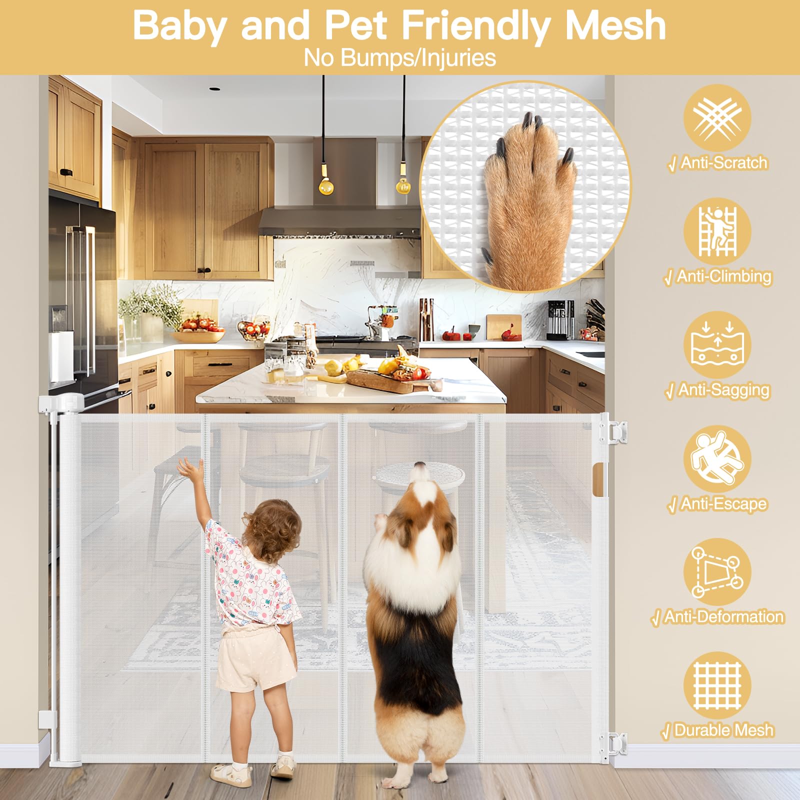 https://m.media-amazon.com/images/I/81bafDI-p5L.jpg