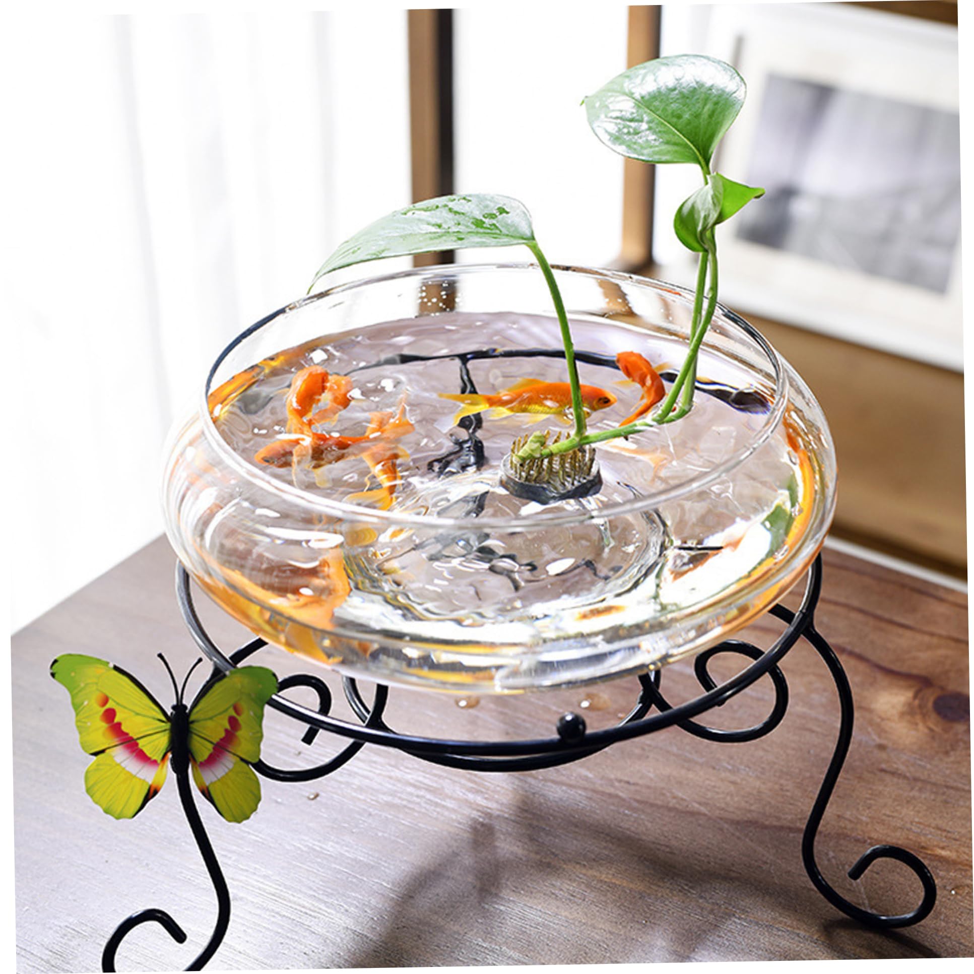 Lotus Bowl Glas Pflanzer – 15x15x6 Cm, Runde Glasschale Für Sukkulenten, Hydroponik Oder Als Fischbogen