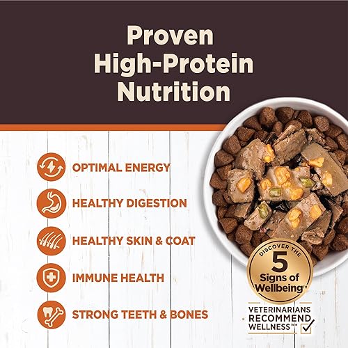 Miniatura 10 de Wellness CORE Hearty Cuts - Alimento enlatado natural sin granos húmedos para perros, pollo y pavo, lata de 12.5 onzas (paquete de 12)