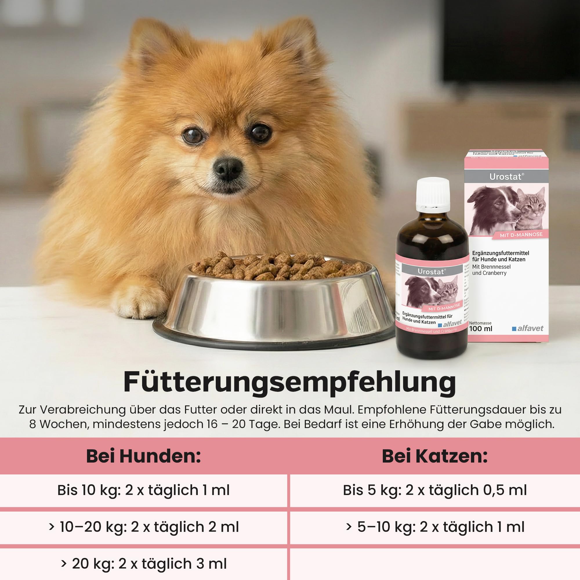 alfavet Pregnostat 100 ml – Ergänzungsfuttermittel für Hunde & Katzen – Zur Unterstützung des Hormonhaushalts – Tonikum mit Zitronenmelisse & Pulsatilla