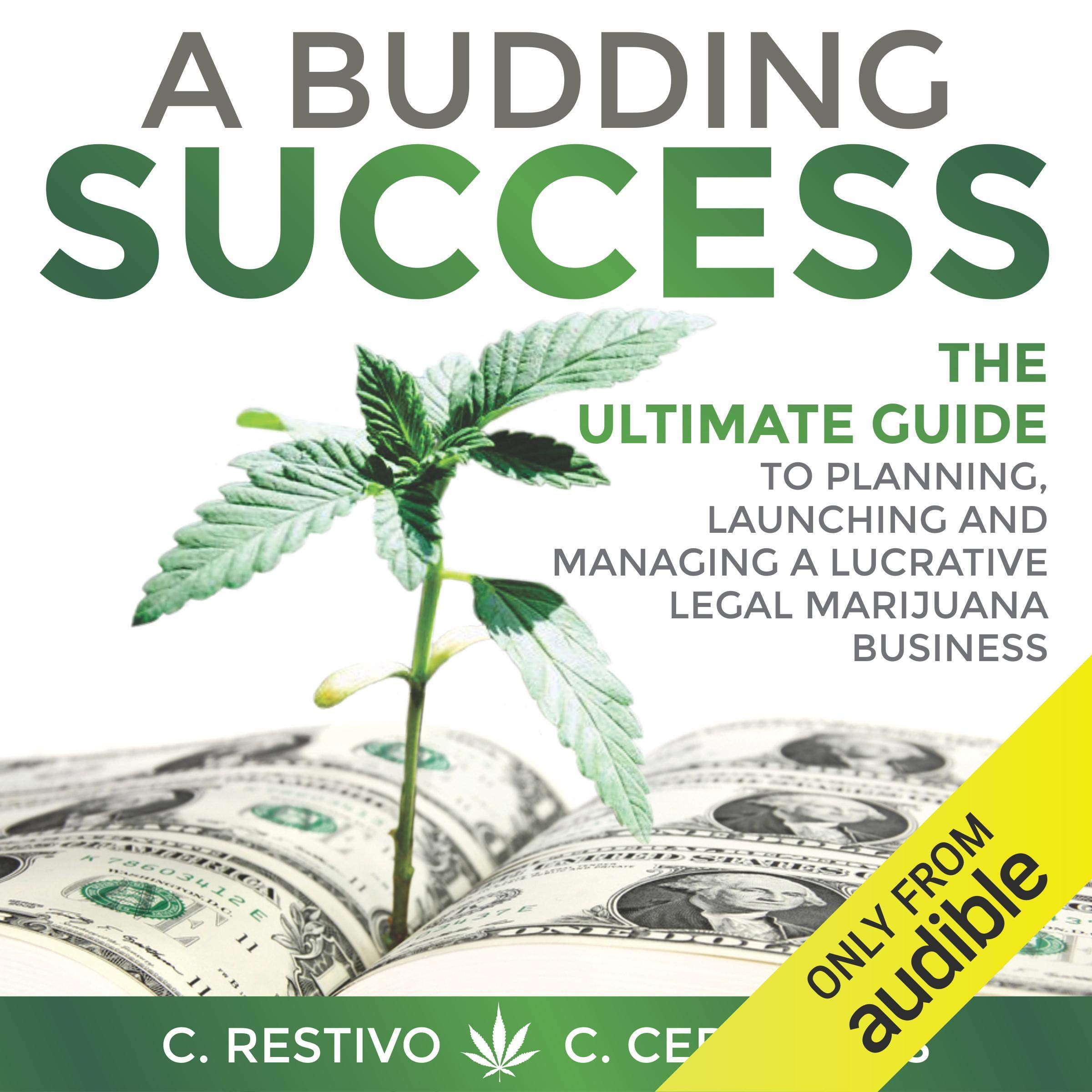 Cover art for A Budding Success