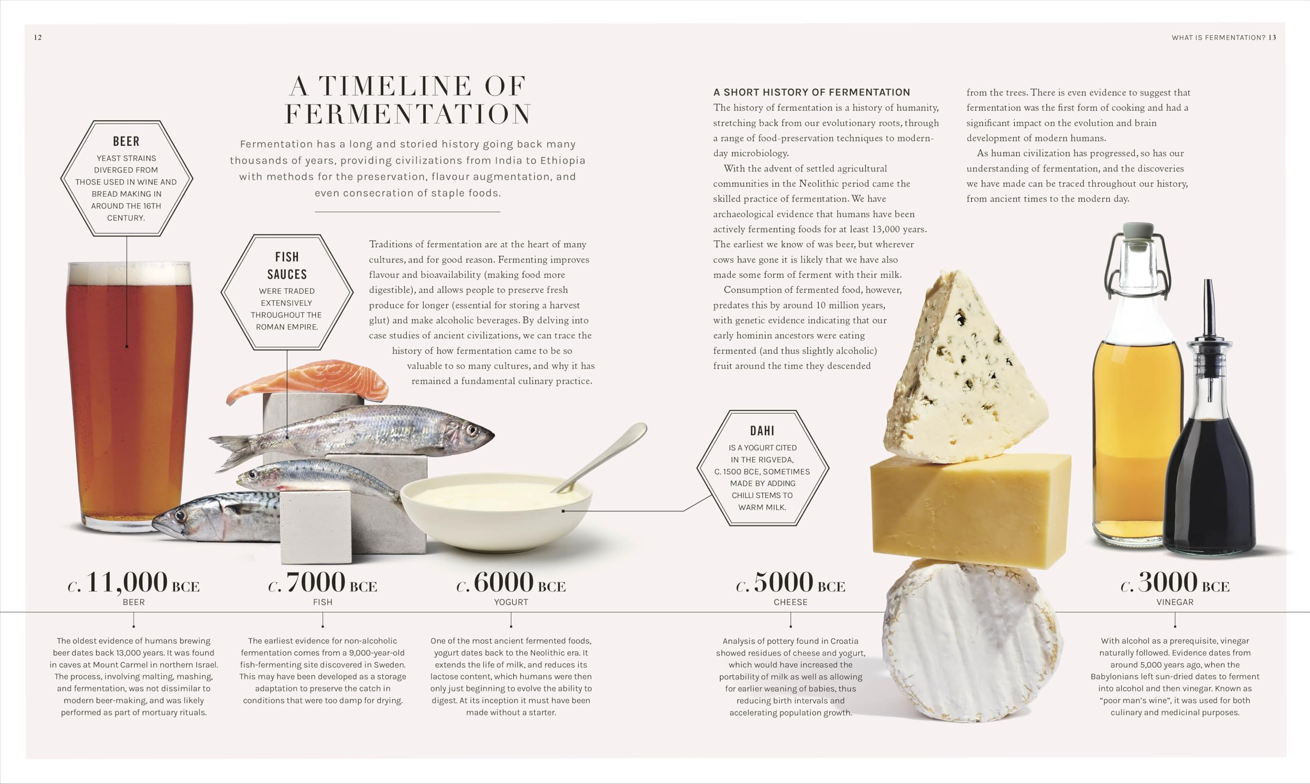 The Science of Fermentation: Explore the Fascinating Alchemy of Fermented Food and Drink (The Science of Food)