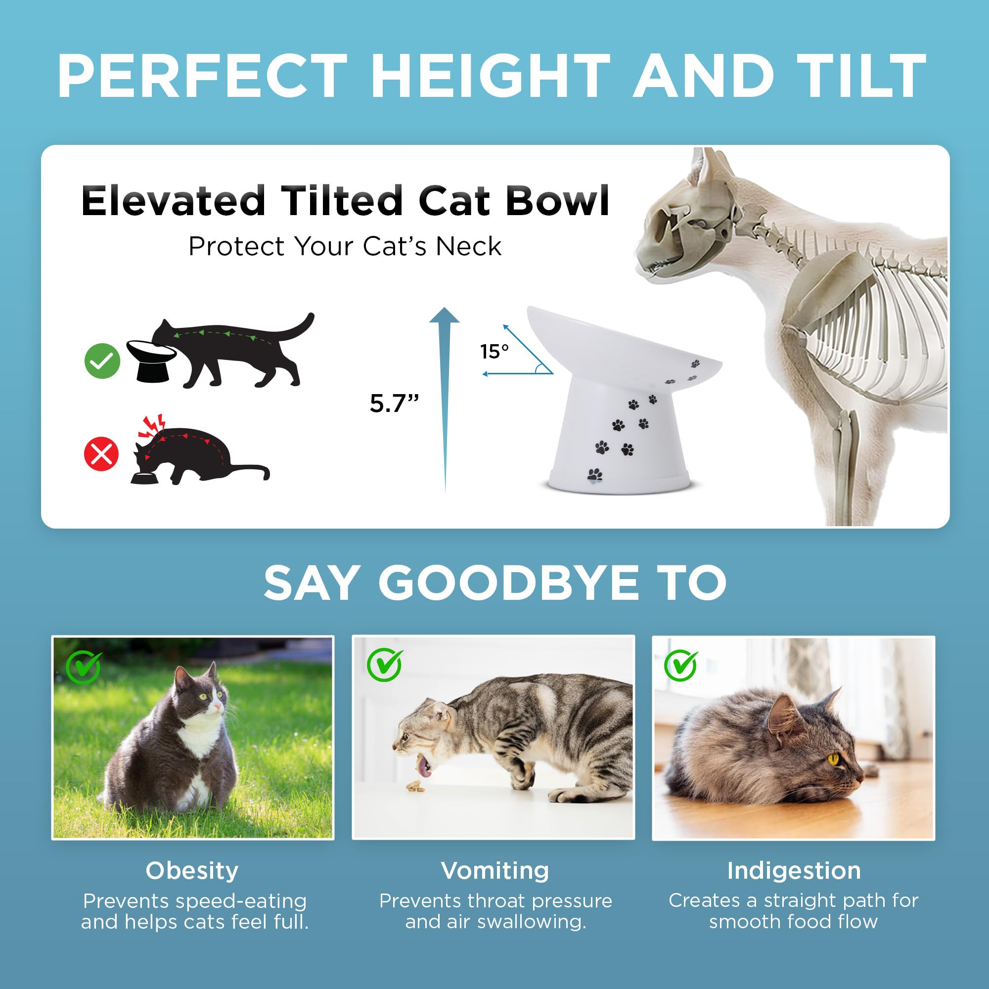 Necoichi Comedero para Gatos, Elevado, inclinación de 15°, cerámica, Antideslizante, ergonómico, antivómitos, Ayuda a Reducir la Fatiga de Bigotes y Cuello, Motivo de Gatos con inclinación extraancha