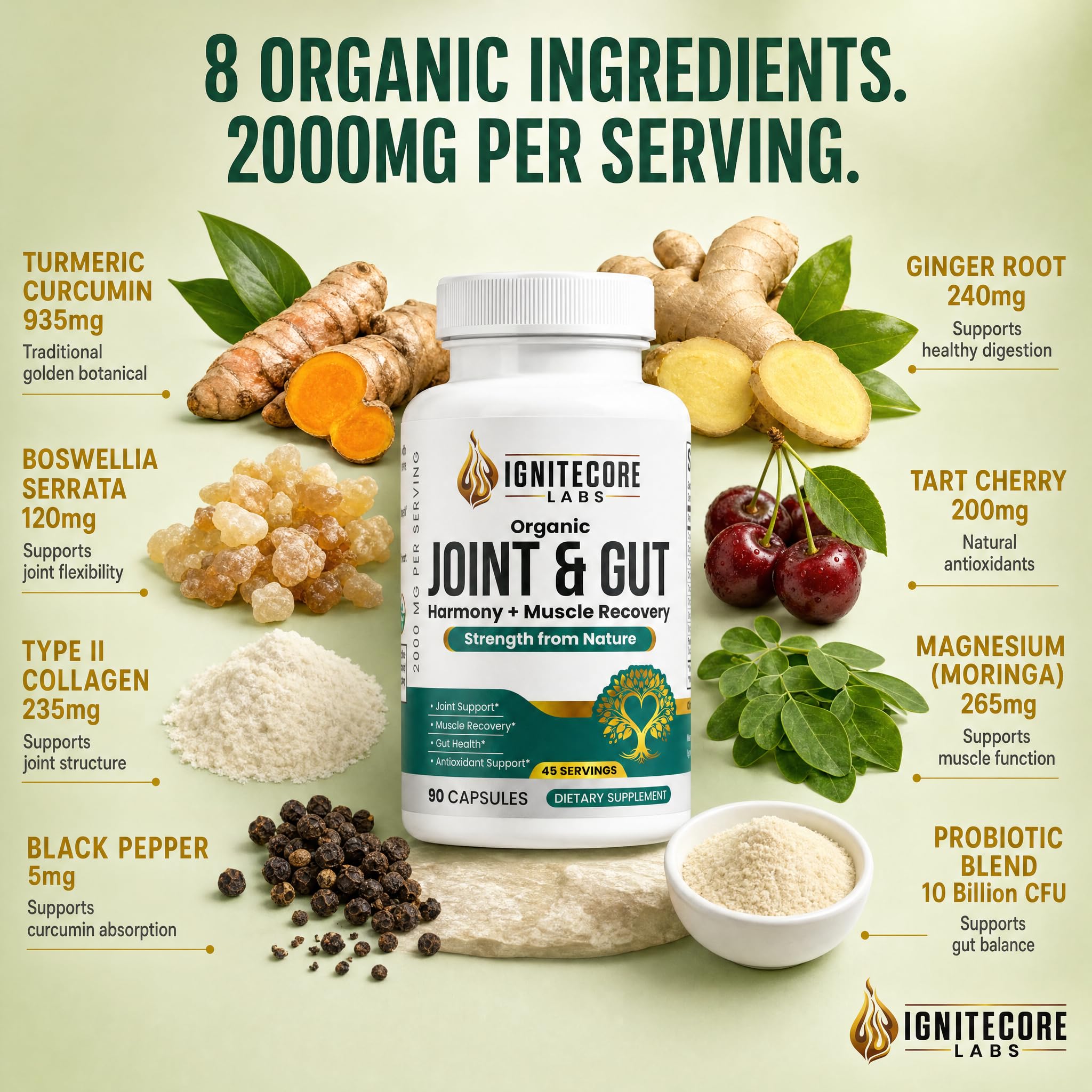 Joint Supplements for Women & Men – Turmeric Curcumin, Boswellia, Type II Collagen, Probiotics, Tart Cherry, Ginger & Moringa – Joint Support & Gut Health – USDA Organic, 2000mg, 90 Capsules — Amazon image 3