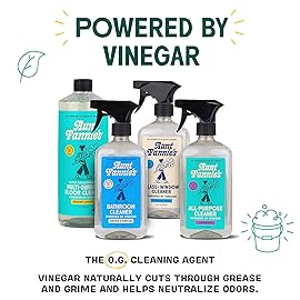Aunt Fannie\'s All Purpose Household Cleaner, Multi-surface Spray, Powered by Vinegar for Kitchen, Bath, Windows and Countertops, Lemon Scent (Refill)