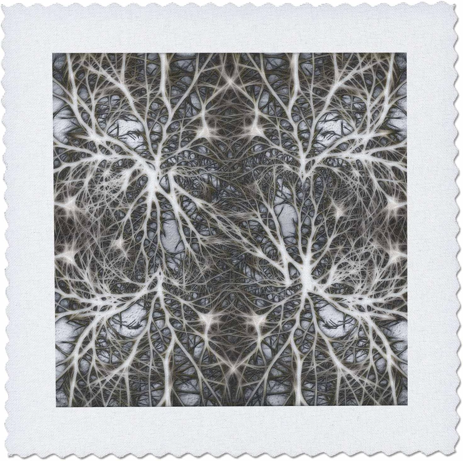 3dRose Silver Neuron of Nerve Impulse 25x25 inch Quilt Square