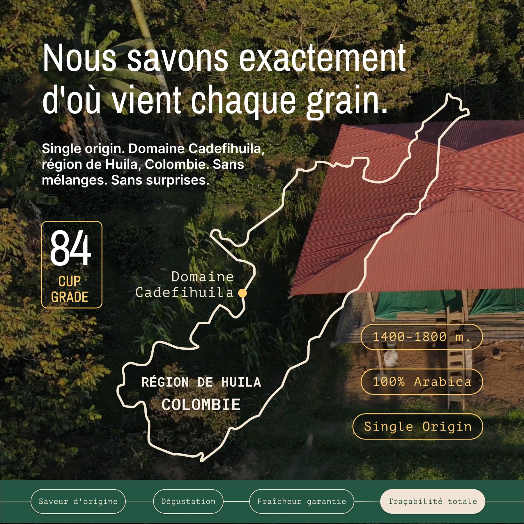 Incapto Café en Grain de Spécialité 1kg | Origine Colombie | 100% Arabica | Café de Spécialité 84 points SCA | Torréfaction Naturelle et Artisanale | Ferme Huila, Cadefihuila