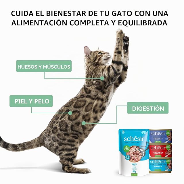 Foto 6 de 6 de Schesir, Atún con Anchoas en Gelatina, Comida Húmeda Completa para Gatos, en Latas, con Vitaminas Añadidas