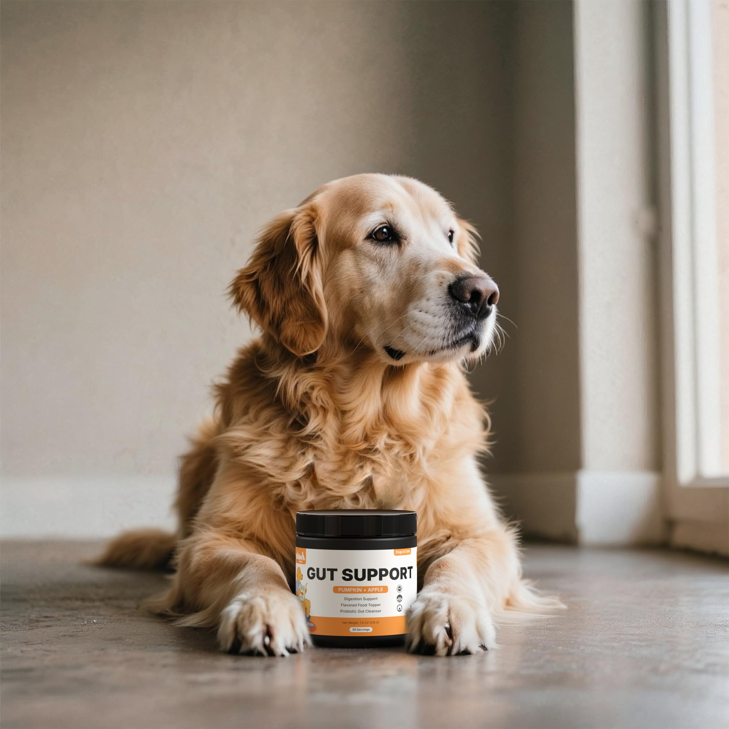Pumpkin Gut Support for Dogs – Digestive Health Supplement with Natural Fiber & Probiotics, 30 Servings | Kubi Pets (30) - image 4