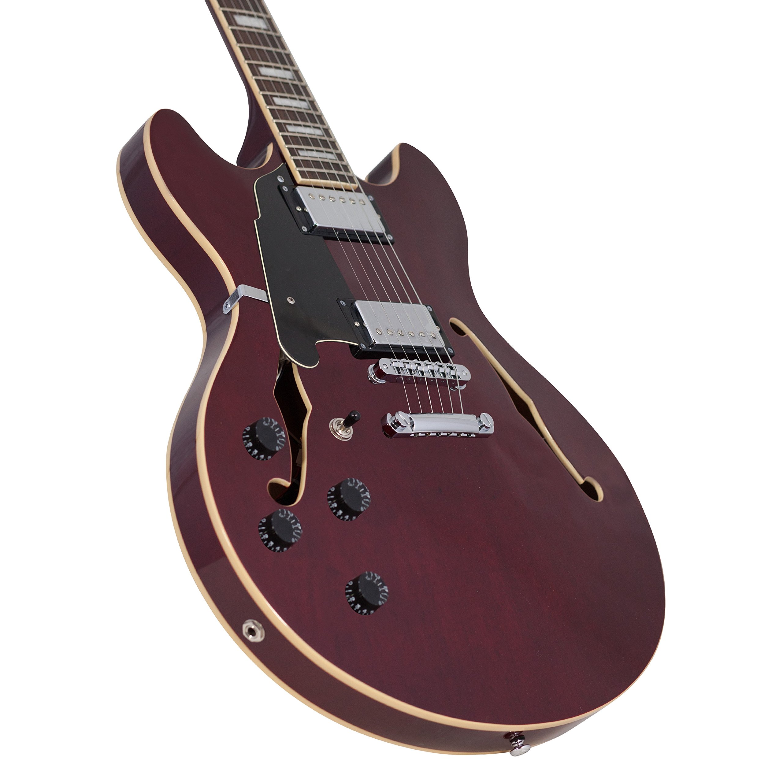 D'Angelico Premier Semi-Hollow 本体 ケース付き Amazon.com: D'Angelico Premier DC Semi-Hollow Lefty Guitarra