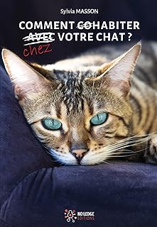 Comportement félin - Comment cohabiter avec votre chat ?