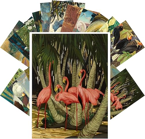 PIXILUV Postales vintage (24 piezas de 4 x 6 pulgadas cada una) magníficas pinturas pacíficas de pájaros de grúas y flamencos, postales vintage,