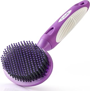 PoodlePet Round Bristle Pet Grooming Brush for Dogs & Cats - Soft Gentle Tool for Short/Long Hair, Sensitive Skin - Detangles, Removes Dander & Dirt (Purple)