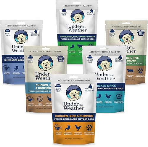 Under the Weather Bland Diet para perros | Fácil de digerir para perros enfermos | Siempre esté listo | Contiene electrolitos – Carnes naturales