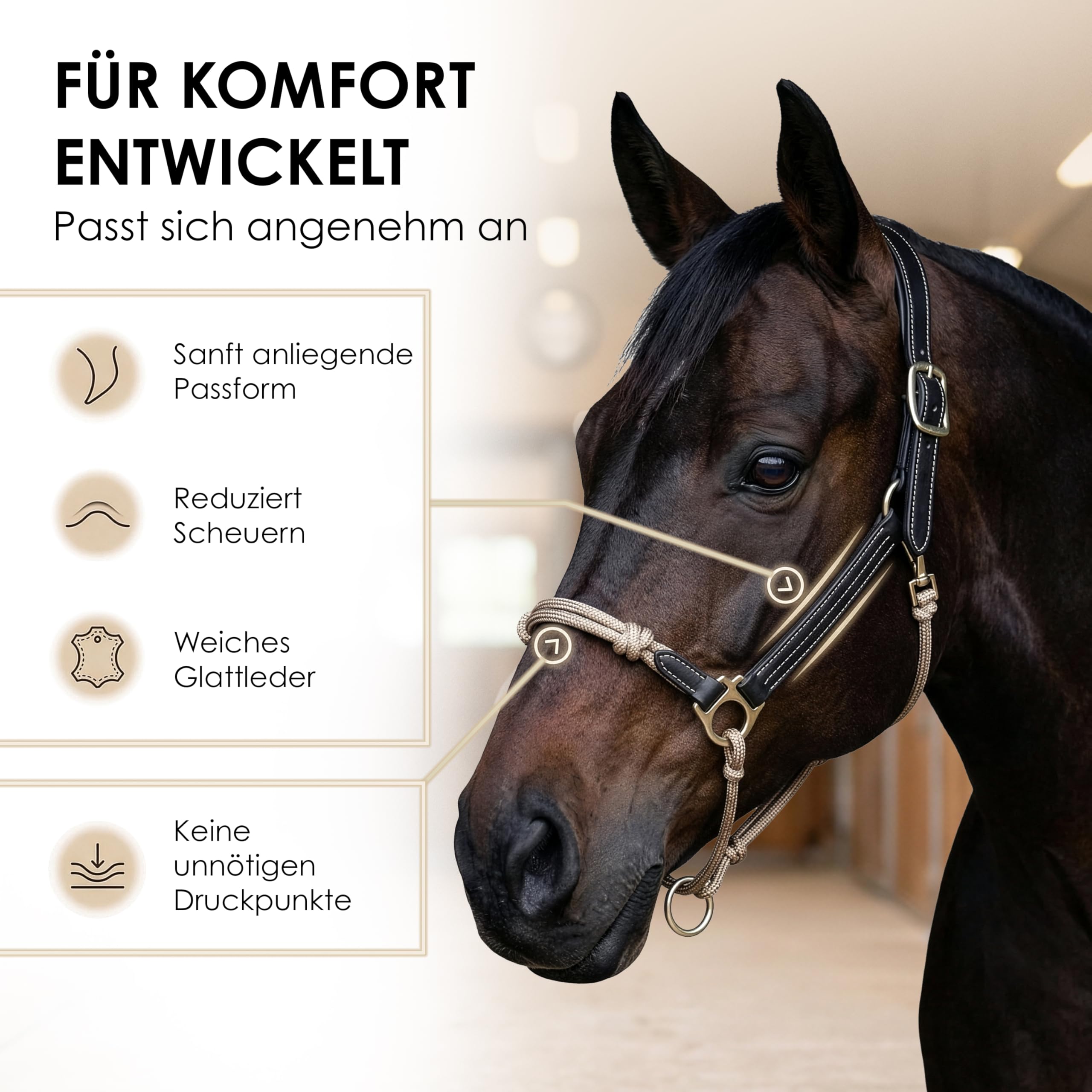 Halfter für Pferde aus Leder – hochwertiges Pferdehalfter für Bodenarbeit & Training – mit Rope-Nasenstück & Metallbeschlägen – Halfter Pony, COB, Full – Schwarz/Beige (Edelstahl, Pony)
