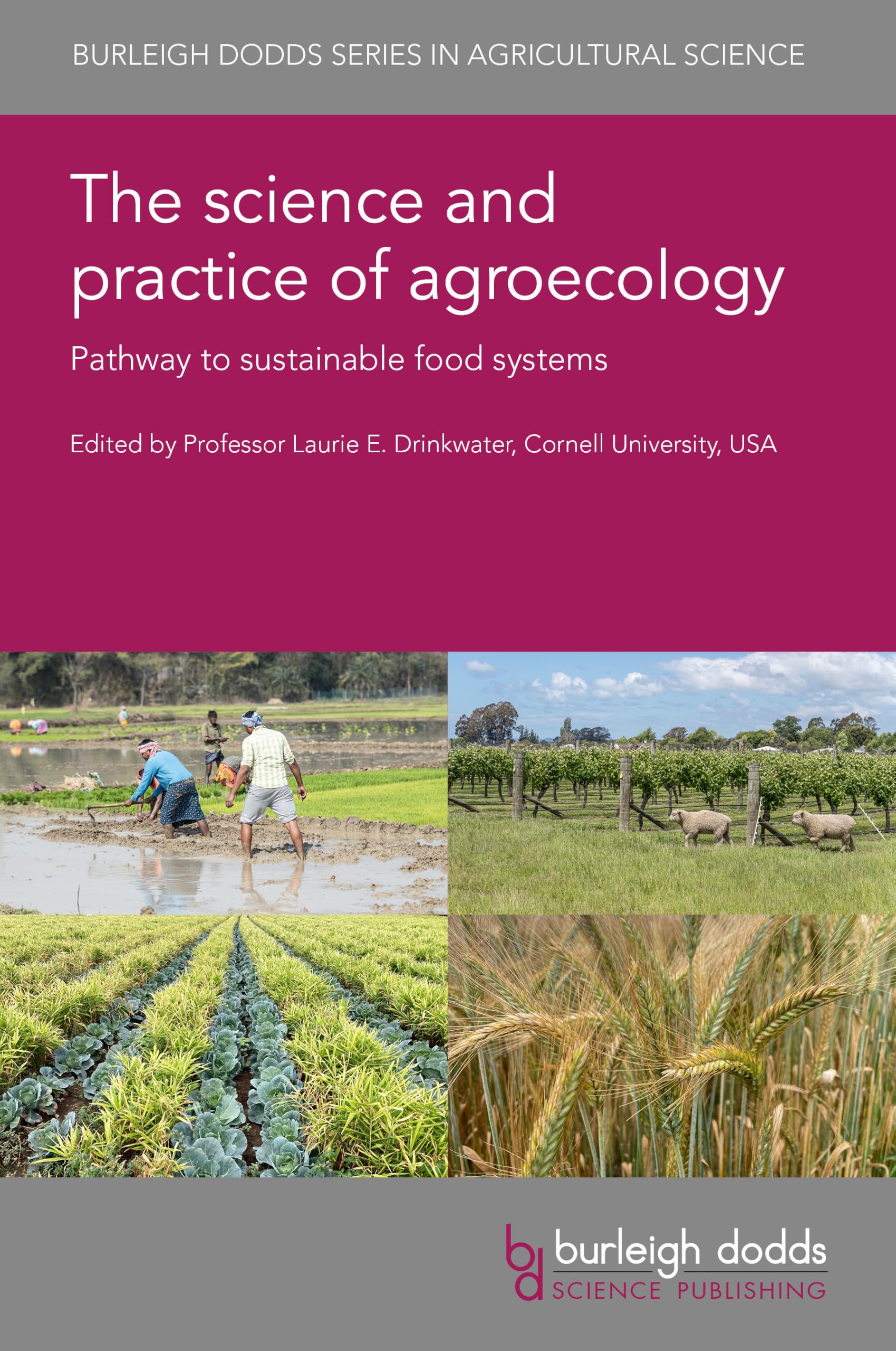 The Science and Practice of Agroecology: Pathway to Sustainable Food Systems: 168 (Burleigh Dodds Series in Agricultural Science, 168)