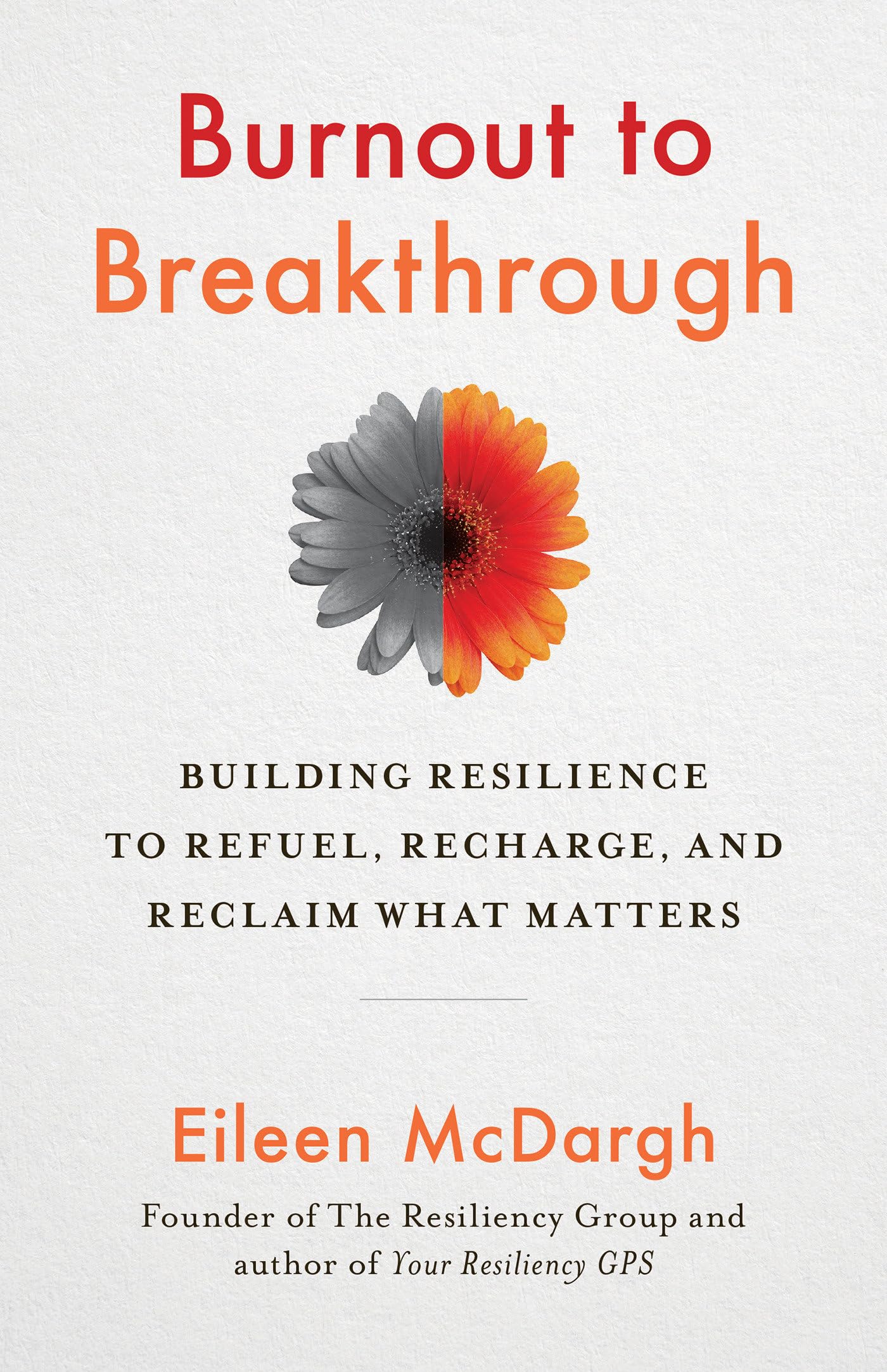 eBook for "Burnout to Breakthrough"
