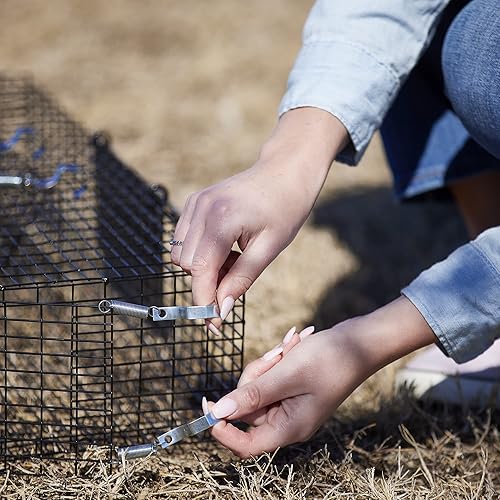 Miniatura 9 de Rugged Ranch Paquete de 4 trampas para ratas, jaula de captura y liberación de ratón vivo, grande, ratinador