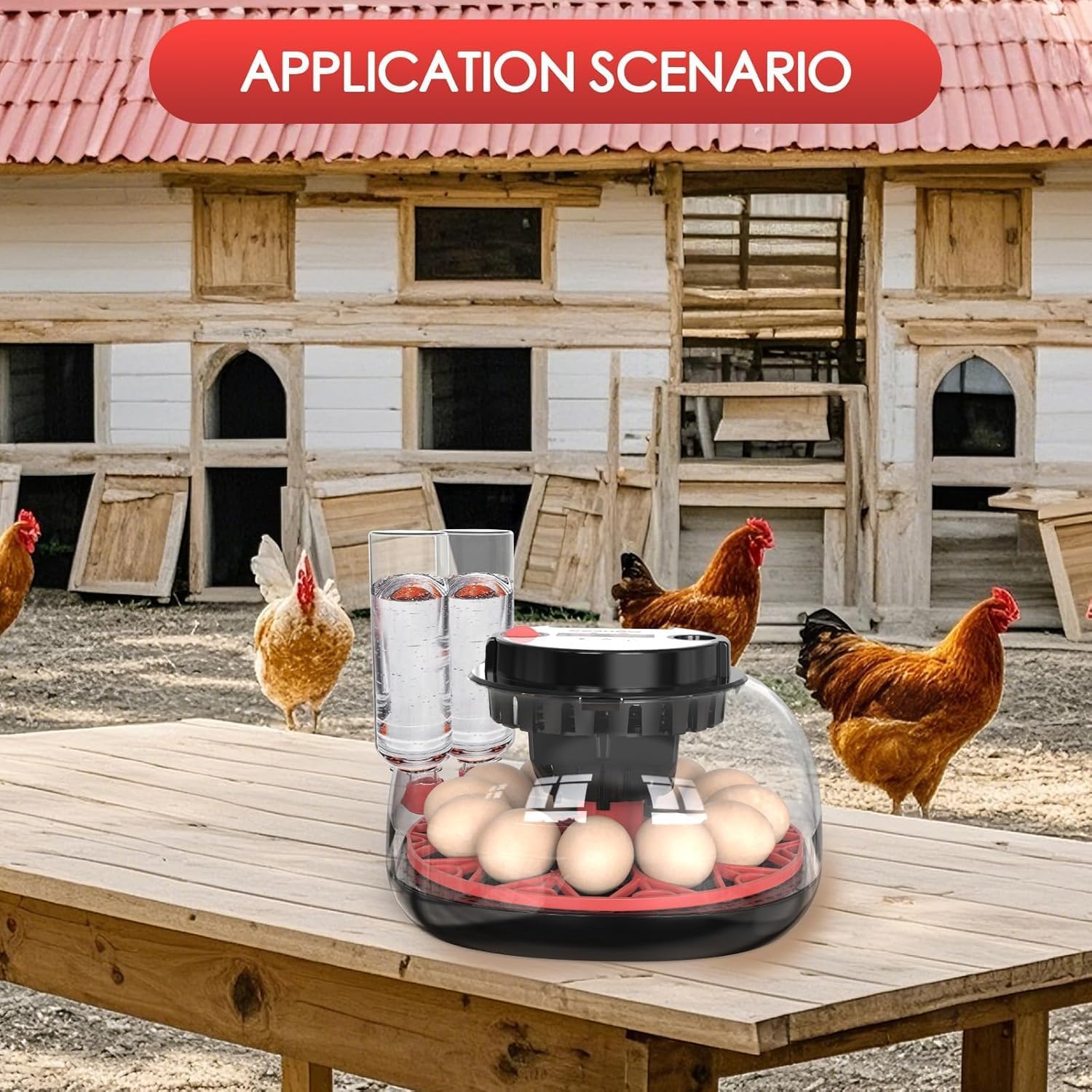 Incubadora para eclosión de huevos, volteadora automática de huevos y nuevo sistema de control automático de humedad, visión clara de 360° para pollo, pato y codorniz (negro)