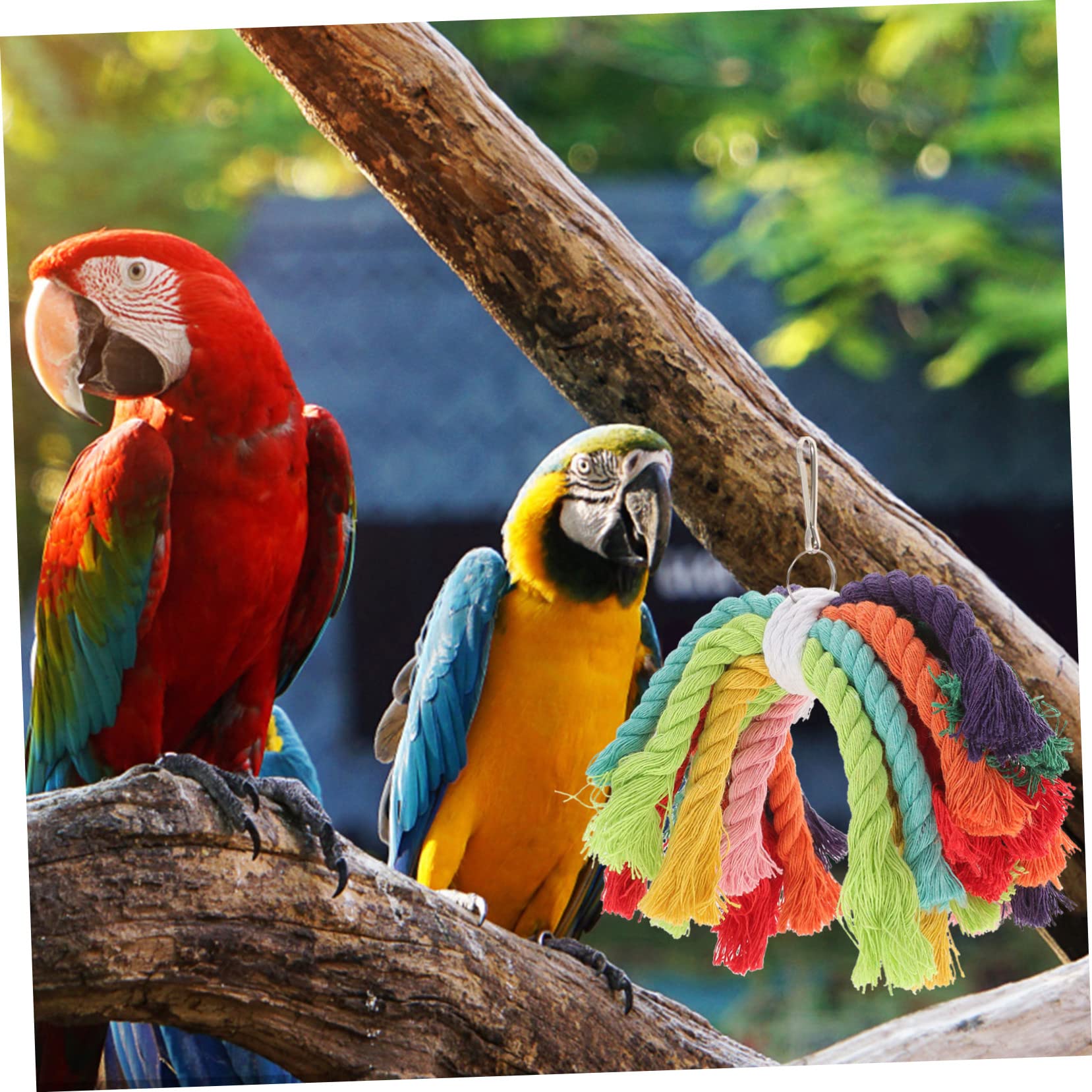 minkissy 5stücke Parakeet Baumwollseil Spielzeug Für Vögel Sicheres Kauspielzeug Für Papageien Wellensittiche Nymphensittiche Multifunktionale Vogelspielzeuge Mit Aufhängung Für