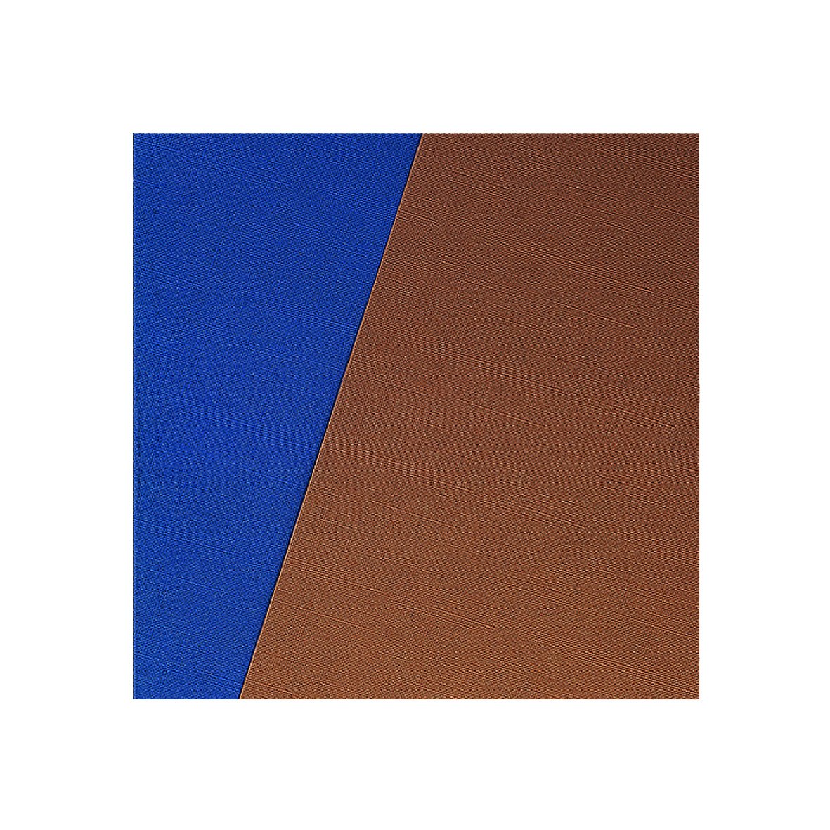 CLAIREFONTAINE Pqt de 100 Couvertures reliure Text&Cover Cuir 270g A4 210x297 mm Bleu écolier