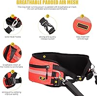 Vista 2 de LIOPARD Bolsas grandes para golosinas para perros, bolsa de entrenamiento manos libres, cinturón para cachorros, riñonera pequeña impermeable