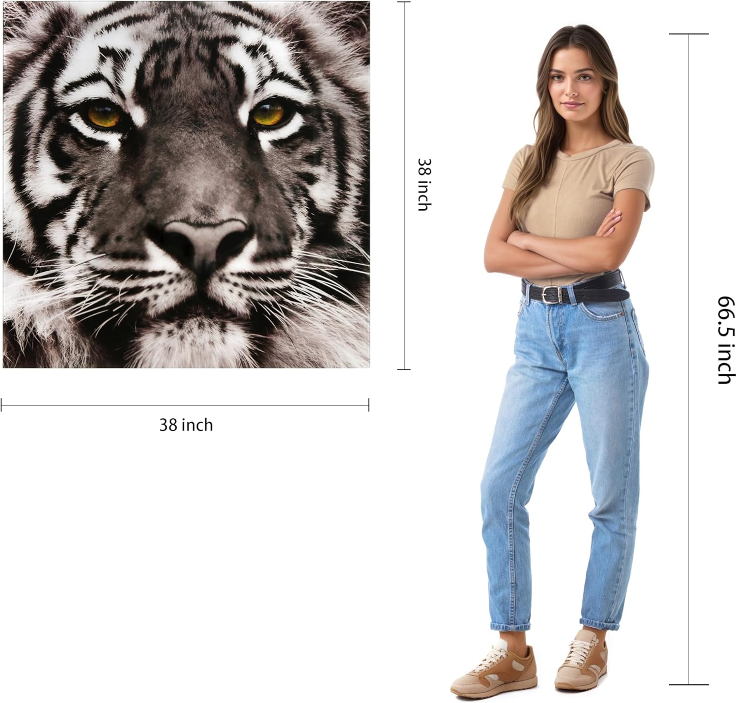 Empire Art Direct Tiger Tempered Glass Wall Art, Frameless Graphic Wall Decor, Square Wall Art, Brown, Ready to Hang,Living Room,Bedroom,Home Office,38" x 38"