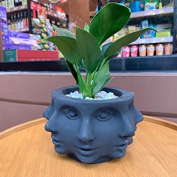 Silicone Head Face Planter Mold, Multi-Face, 8 inch Flower Pot Mold | Indoor/Outdoor, Multi-Face Shaped, Succulent Flower Pots, Art Garden Vase