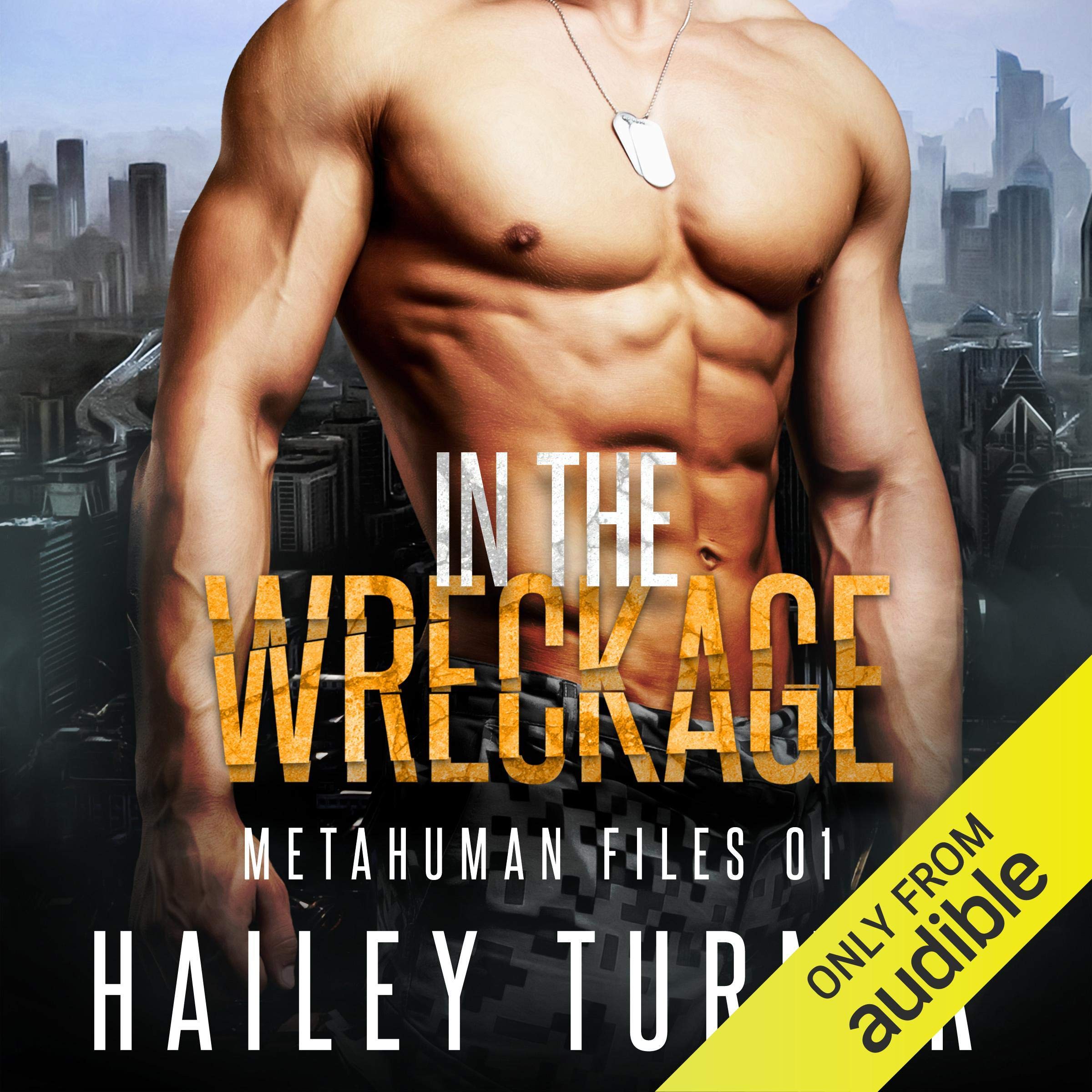 Cover art for In the Wreckage