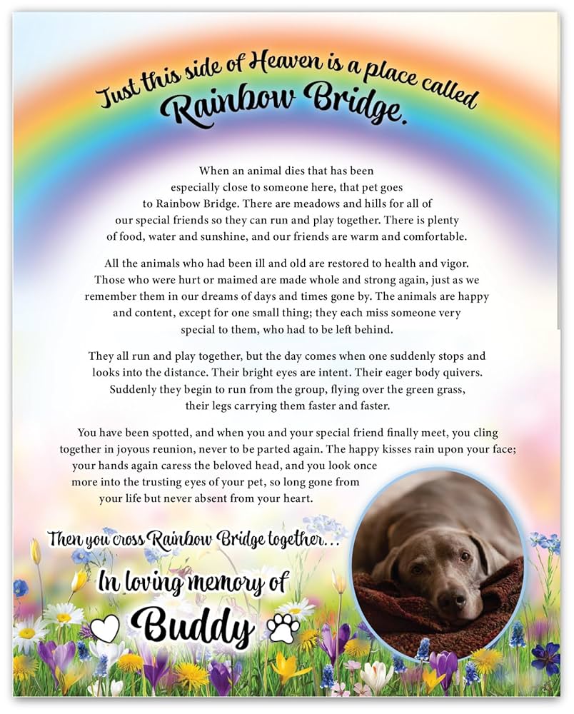 Amazon.com: Personalized Photo Rainbow Bridge Pet Loss Memorial Poem, Remembrance, Dog, Cat, Rabbit, Guinea Pig, Sympathy Gift Wildflower : Home & Kitchen amazon-com-personalized-photo-rainbow-bridge-pet-loss-memorial-poem-remembrance-dog-cat-rabbit-guinea-pig-sympathy-gift-wildflower-home-kitchen