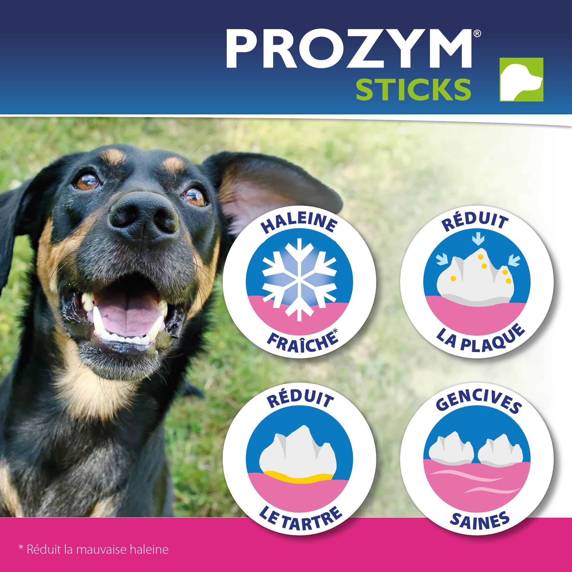 PROZYM RF2 Pack 2x12Sticks - Spéciale Hygiène Dentaire Naturelle - Recommandé par des Vétérianire - Formule Vegan pour Chien - 24 Sticks (+25kg)