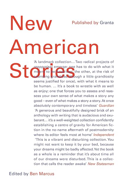 Portada de New american stories