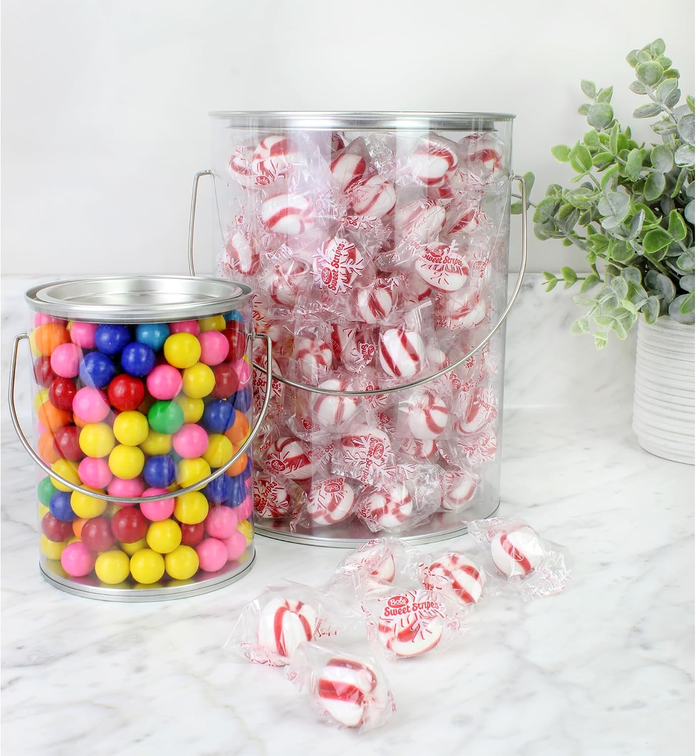 Cornucopia Clear Plastic Paint Cans (Gallon and Quart Combo, Set of 2); Paint Buckets for Decor & Crafts; Not Intended for Liquid or Heavy Objects