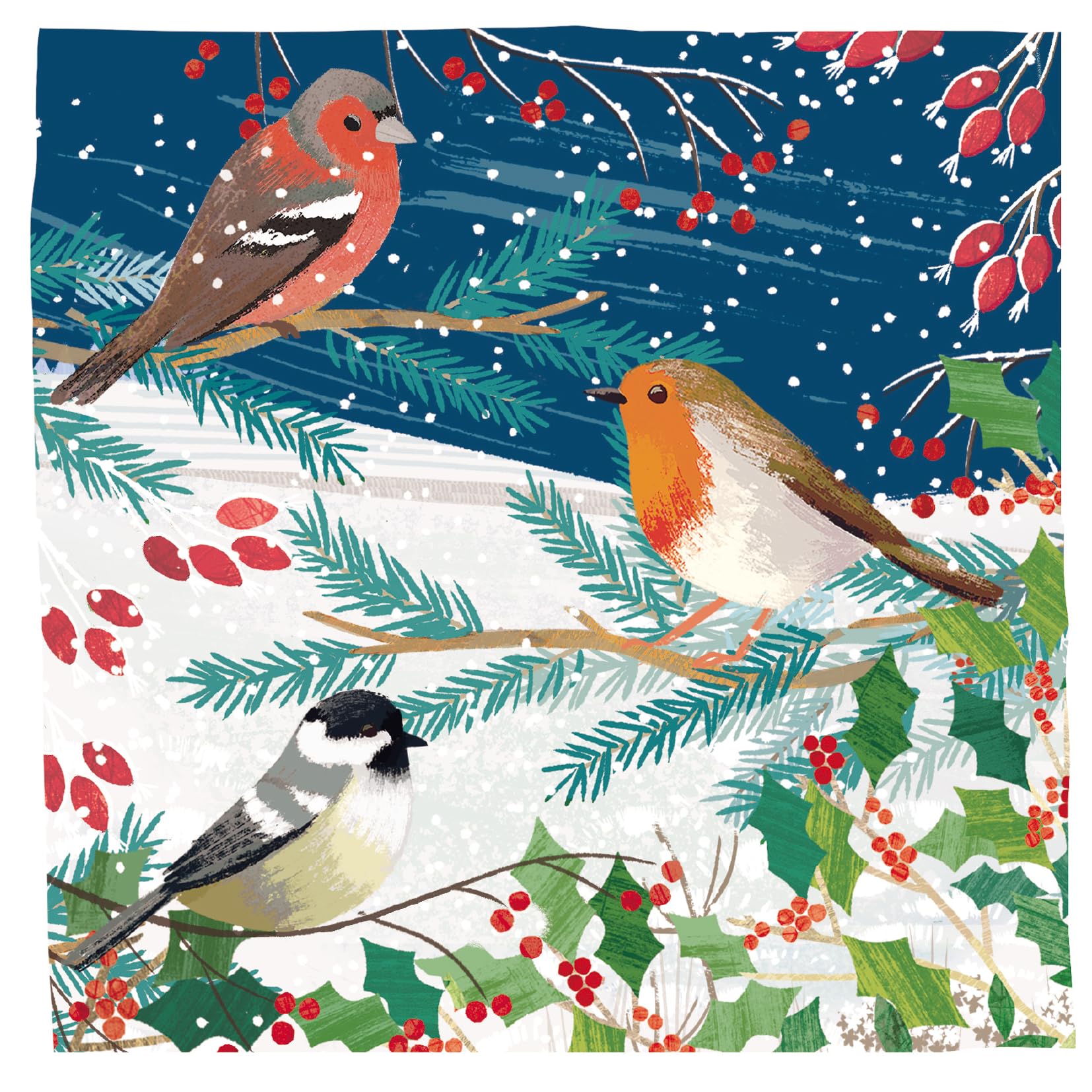 Alzheimer's Society Birds & Berries - Pack of 10 Cards