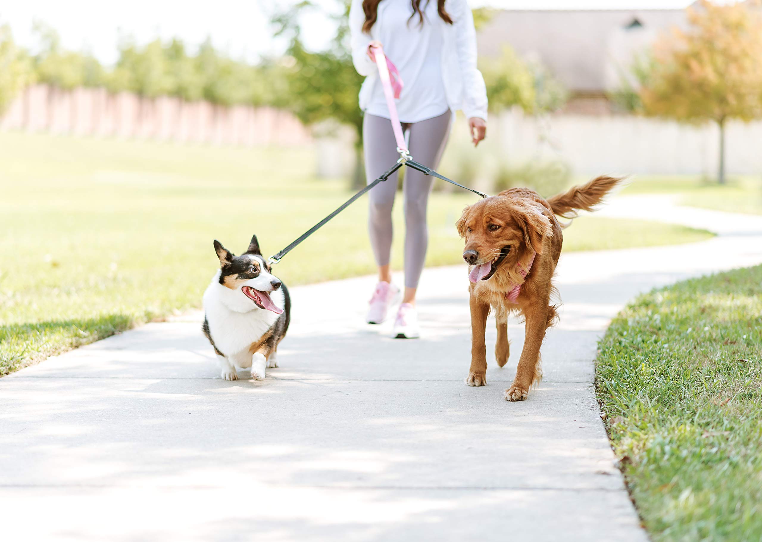 Cajun Tie DownsPet Supply Reflective - Double Dog Leash - No Tangle - Two Dog Leash Coupler, Double Dog Walker and Trainer Leash - 2 Dogs Adjustable Splitter Lead 1" X 13-24" - Made in USA