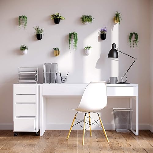 Miniatura 6 de Bees & Buds Macetas de pared para plantas de interior, maceta para suculentas para colgar en la pared, decoración de pared, soporte para colgar